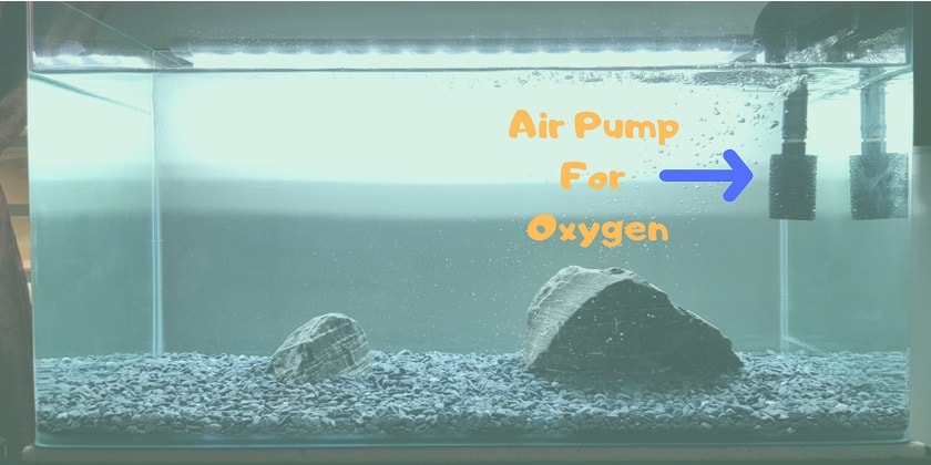 Air-Pump-for-Oxygen