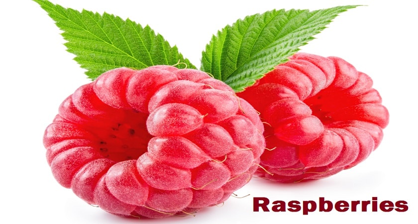 do-deer-eat-Raspberries