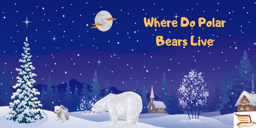 Where-Do-Polar-Bears-Live