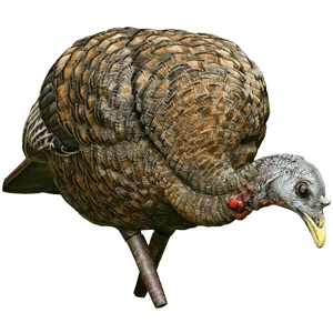 Avian-X Feeder Hen Turkey Decoy
