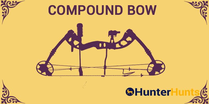Best Compound Bow