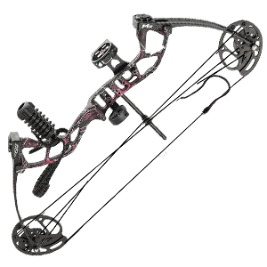 Topoint Compound Bow For Beginners