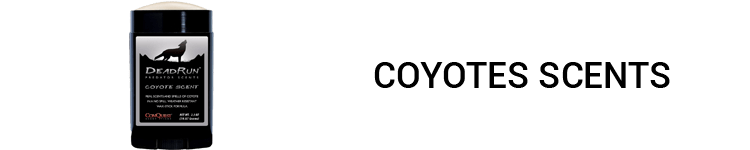 Coyotes Scents